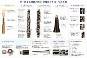 オーボエの部位と名前を解説！初心者が知っておきたい各パーツの役割