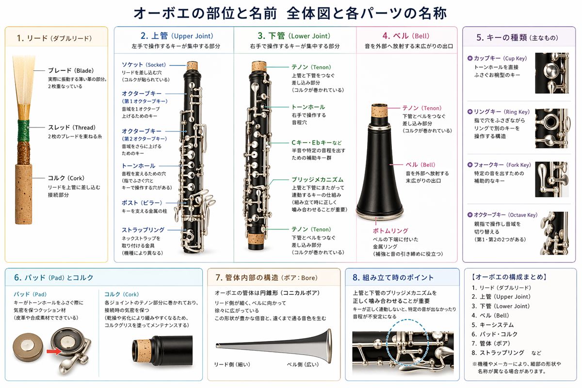 オーボエの部位と名前を解説！初心者が知っておきたい各パーツの役割