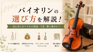 バイオリンの選び方を解説！初心者におすすめの楽器・予算・購入場所まで