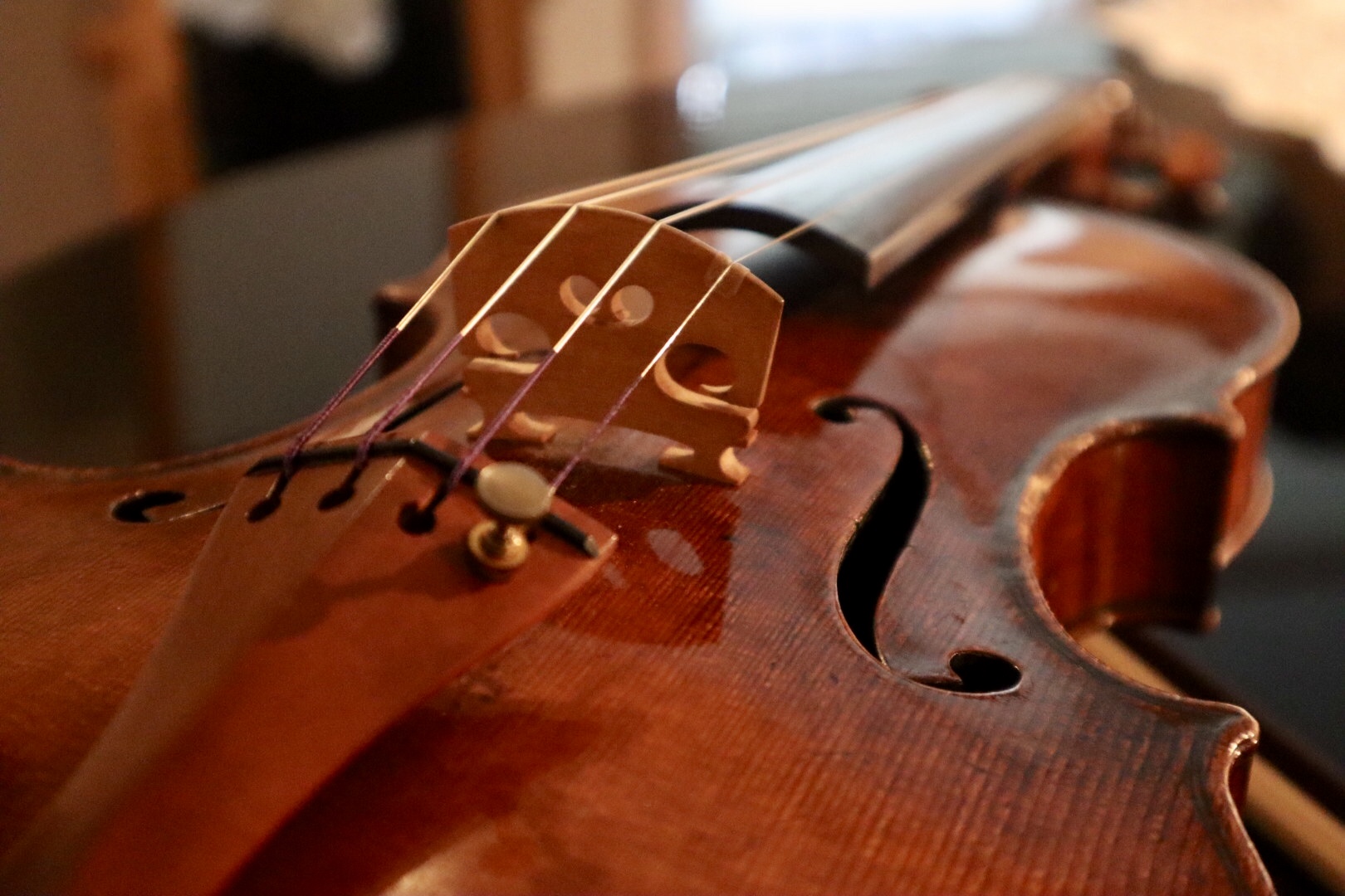 バイオリンの弦と弓の素材は何？
