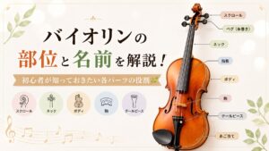 バイオリンの部位と名前を解説！初心者が知っておきたい各パーツの役割